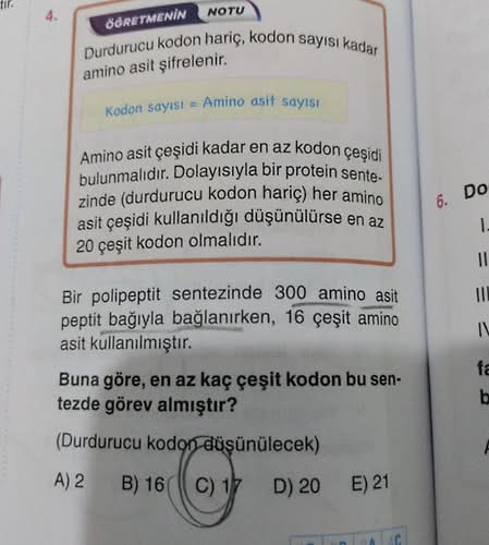 ÖĞRETMENİN NOTU Amino asit çeşidi kadar en az kodon çeşidi bulunmalıdır.