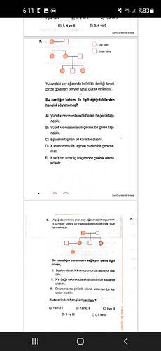 Screenshot_20250408-181116_OneDrive