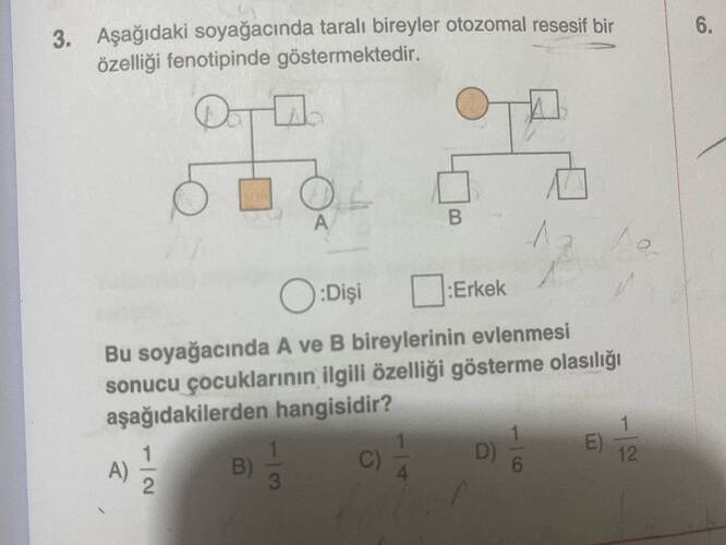 Aşağıdaki soyağacında taralı bireyler otozomal resesif bir özelliği fenotipinde...