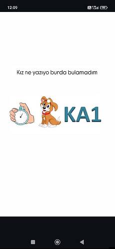 Resim