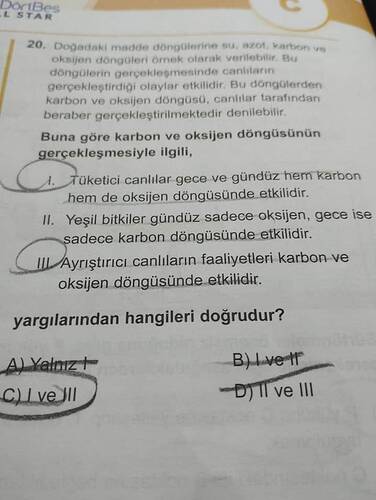 17474057492252862618792560449423