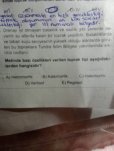 17444894427272305118987752805203