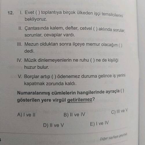 Soru Görseli