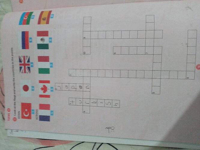 c THEME O Look at the flags and write the countries in the puzzle.