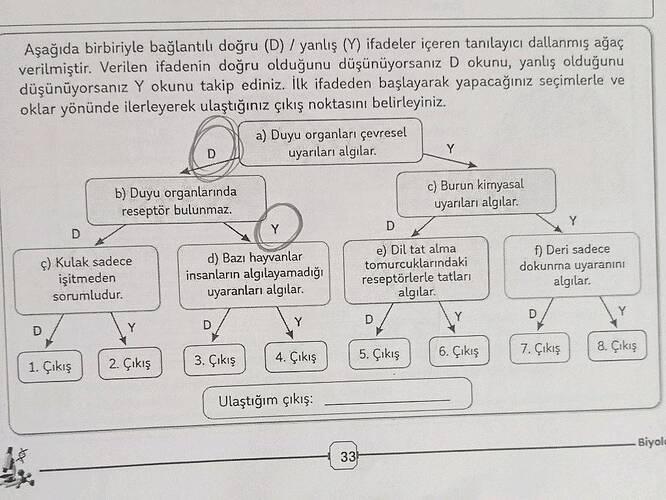 Aşağıda birbiriyle bağlantılı doğru (D) / yanlış (Y) ifadeler içeren tanılayıcı...