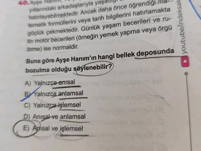 Soru Görseli