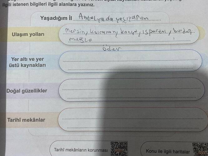 ilgili istenen bilgileri ilgili alanlara yaziniz.