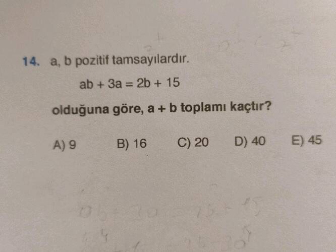 Soru Görseli