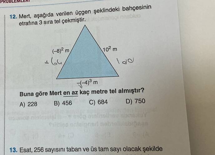 Soru Görseli