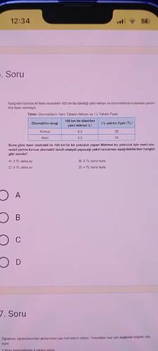 17346872667884832421387580819061