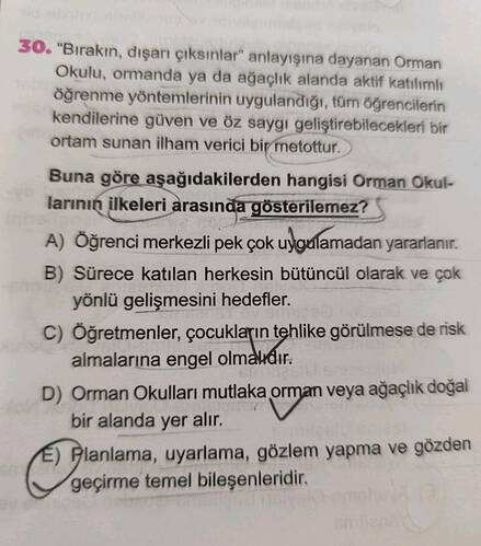 Soru Görseli