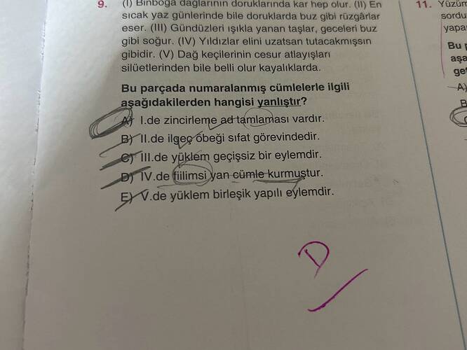 Soru Görseli