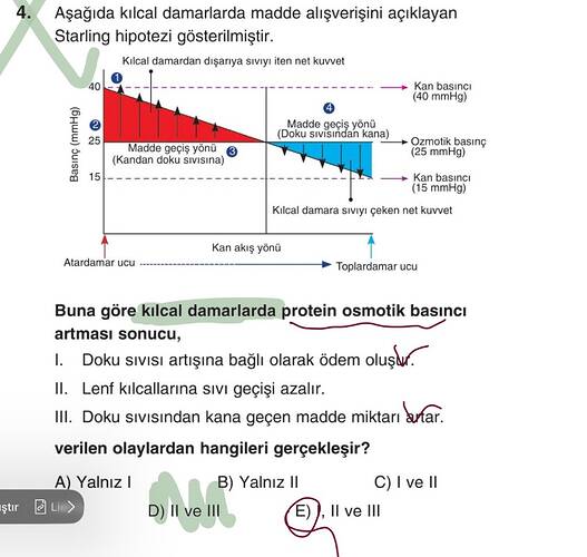 Aşağıda kilcal damarlarda madde alışverişini açıklayan Starling hipotezi gösterilmiştir.