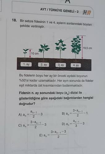 Soru Görseli