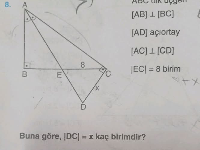 ABC dik üçgen açıortay Buna göre,