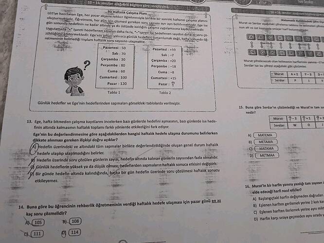 Bir Haftalık Çalışma Planı LGS'ye hazırlanan Ege, her pazar akşamı rehber öğretmeniyle...