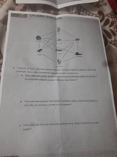 17473396295974295216722173309837