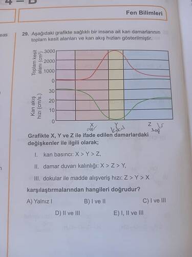 20250505_144158