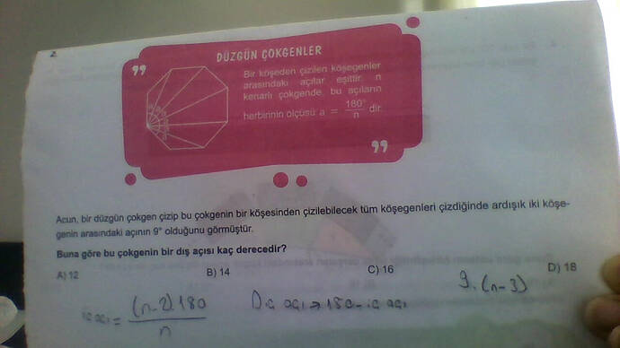My photo - Tarih (19)