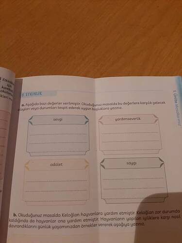 17297847913968447255862849011017