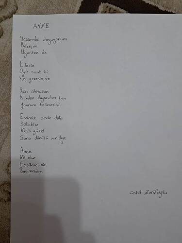 17485535352002157153213977933637