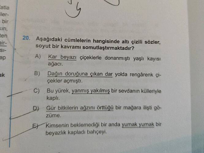 Soru Görseli