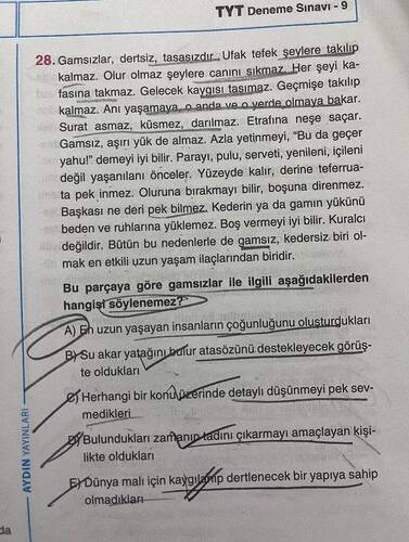 Soru Görseli