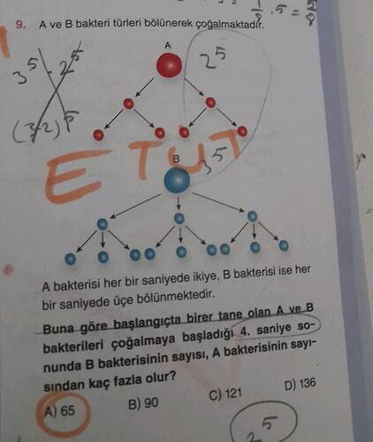9 A ve B bakteri türleri bölünerek çoğalmaktadír.