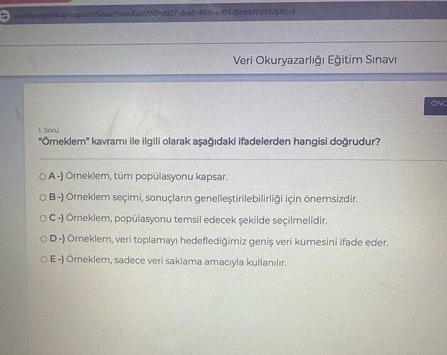 Resim