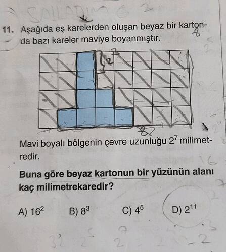 Aşağıda eş karelerden oluşan beyaz bir karton- da bazı kareler maviye boyanmiştır.