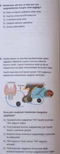 SmartSelect_20250510_200551_Samsung Notes