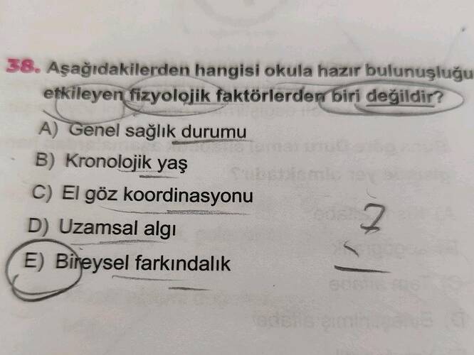 Soru Görseli