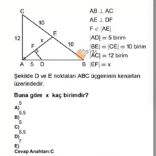 Soru Görseli