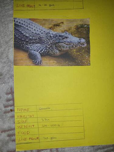 17467379461715760066360598088831