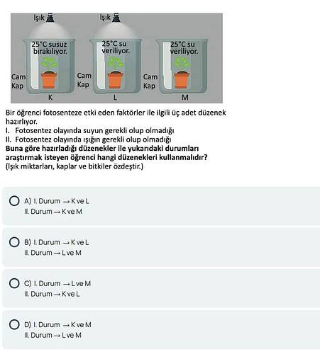 Bir öğrenci, fotosenteze etki eden su ve ışık faktörlerini araştırmak için üç farklı düzenek (K, L ve M) hazırlamış ve seçeneklerle bu düzeneklerin nasıl kullanılacağını belirlemiştir. (AI tarafından altyazılı)