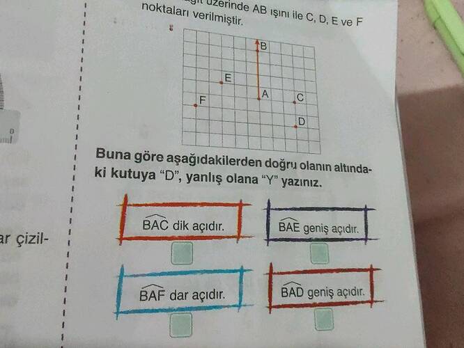 ar çizil- UZerinde AB iŞint ile C, D, E ve F noktaları verilmiştir.