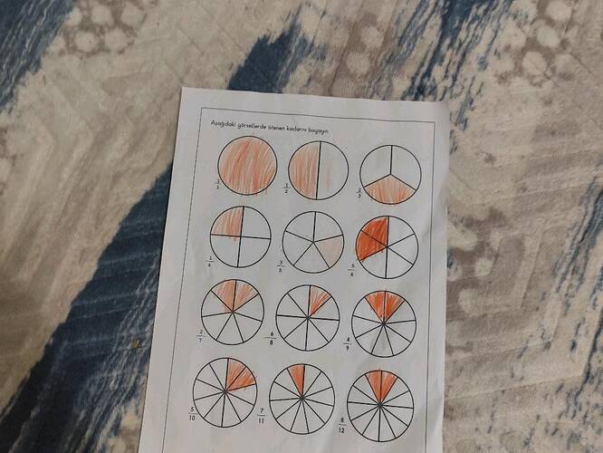 Aşağıdaki görsellerde istenen kadarını boyayın.