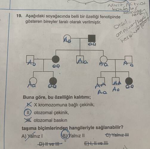 Aşağıdaki soyağacında belli bir özelliği fenotipinde gösteren bireyler taralı olarak...