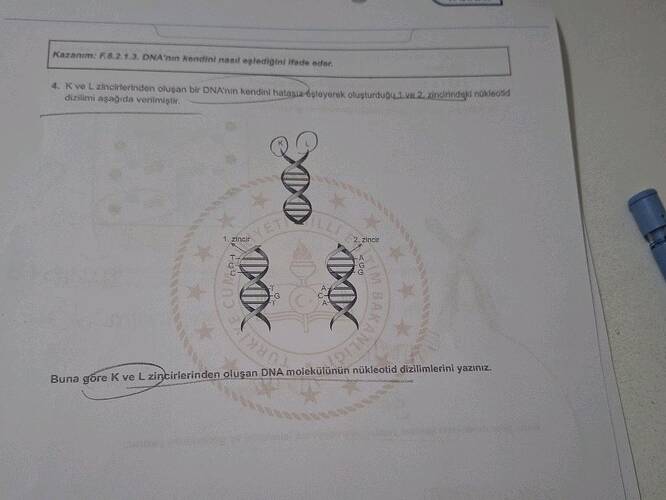 DNA'nın kendini nasıl eşlediğini ifade eder.