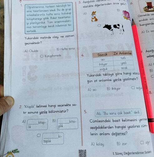 Ogretmeniniz herkesin teknolojik br araç tusarlamasn isted, Biz de grup orkodaslarimla...