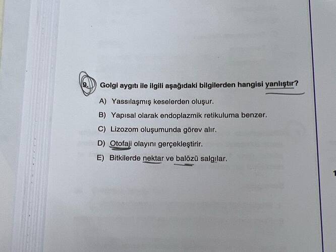 Golgi aygıtı ile ilgili aşağıdaki bilgilerden hangisi yanlıştır?