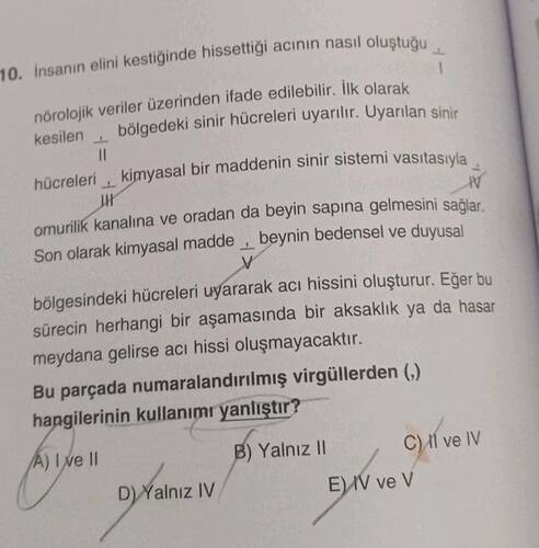 İnsanın elini kestiğinde hissettiği acının nasıl oluştuğu nderset I , nörolojik veriler...