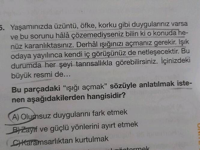 Yaşamınızda üzüntü, öfke, korku gibi duygularınız varsa ve bu sorunu hâlâ...