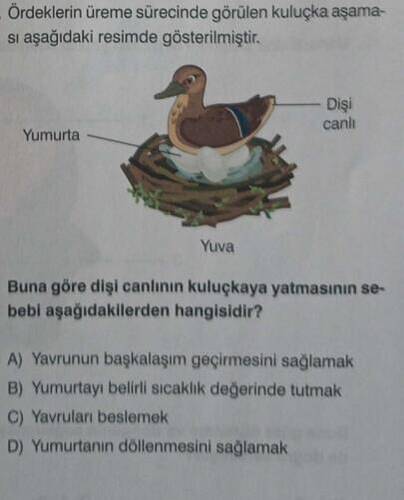 Ekran görüntüsü 2025-12-30 111244