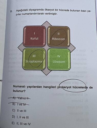 Aşağıdaki diyagramda ökaryot bir hücrede bulunan bazı yapılar numaralandırılarak...