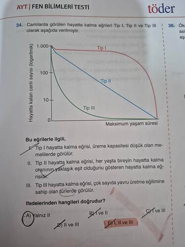 17479934697319057897143165111554