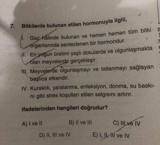 Bitkilerde bulunan etilen hormonuyla ilgili, I.