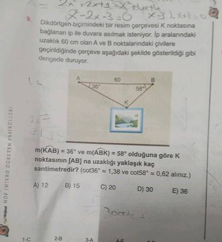 MÖF (MIKRO 0GRETEN FASIKOLLER) 1-C Dikdortgeh biçimindeki bir resin çerçevesi K...