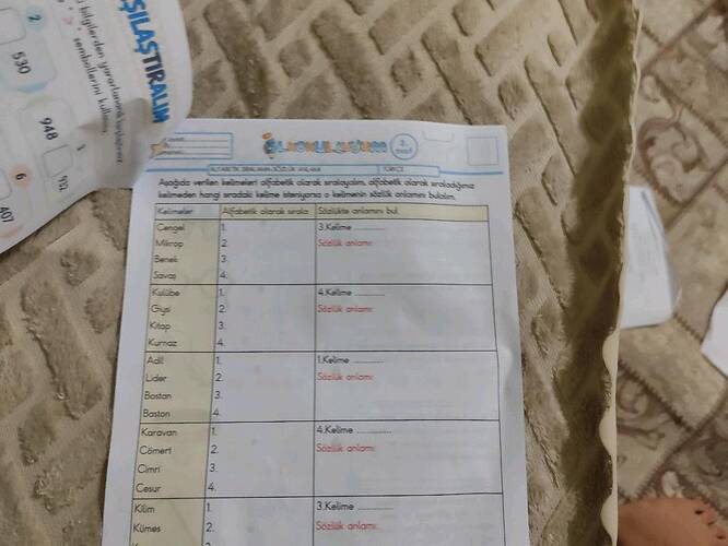 Aşağıda verilen kelimeleri alfabetik olarak sıralayınız, kelimeden hangi sıradaki...