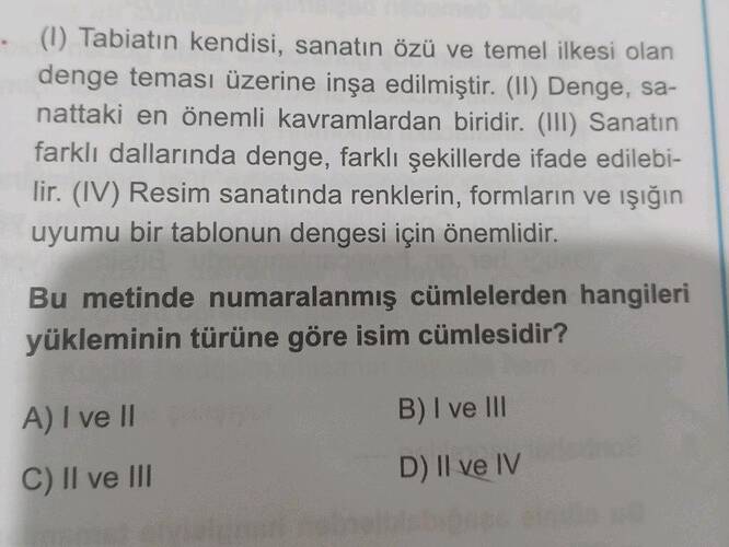 Soru Görseli